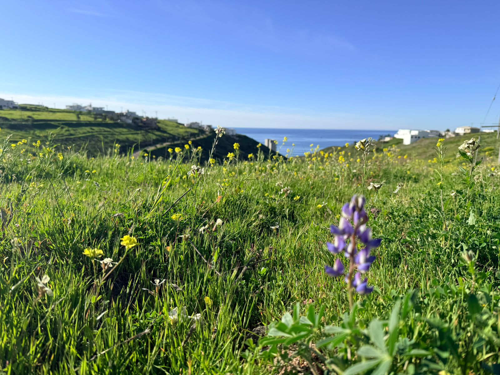 Parcelas Frente al Mar